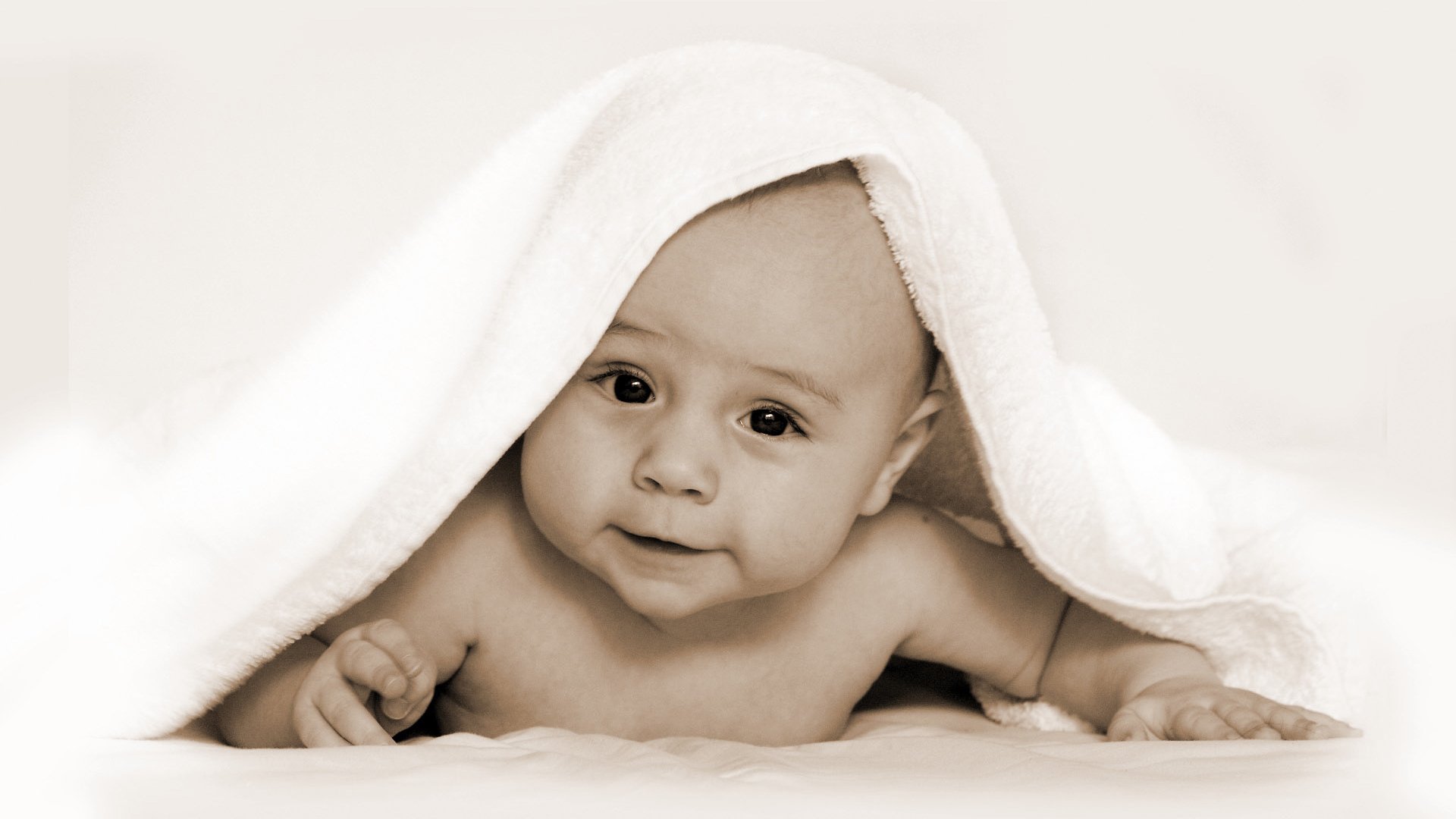佛山捐卵机构联系方式试管婴儿成功率多少
